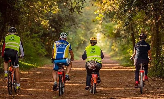 bombobici